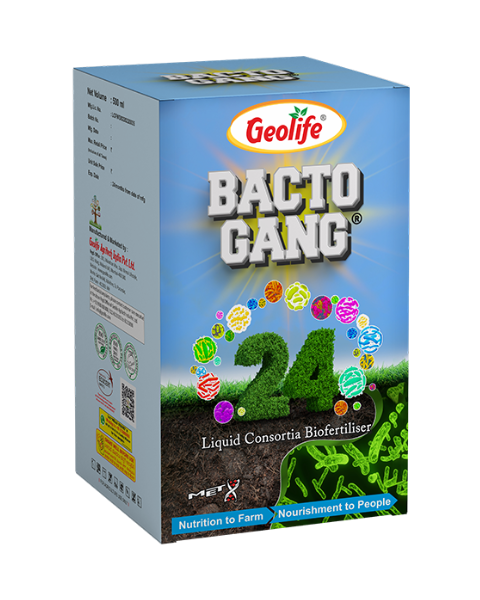 GEOLIFE BACTOGANG-24