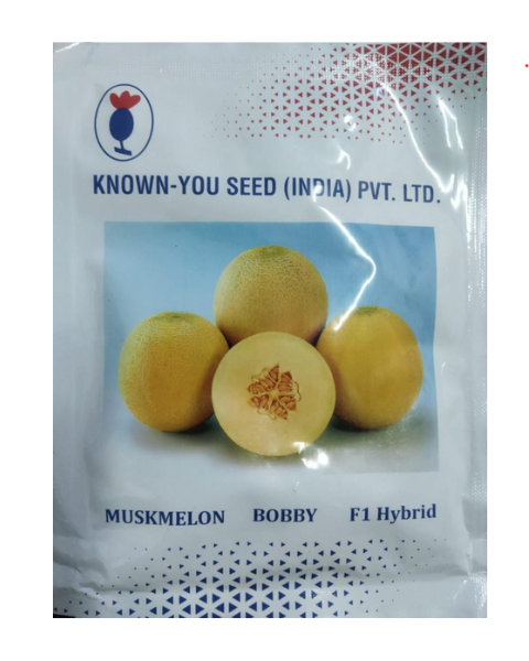 Bobby f1 Muskmelon