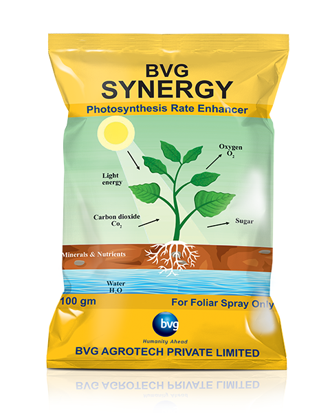 BVG Synergy Growth Boosters/Promoters