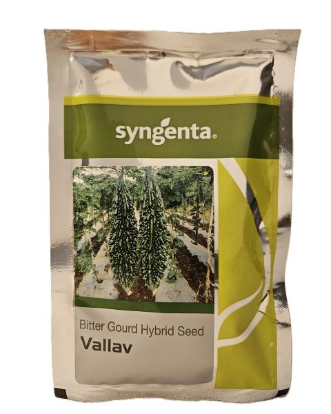 Syngenta Vallav Hybrid Bitter Gourd Seeds