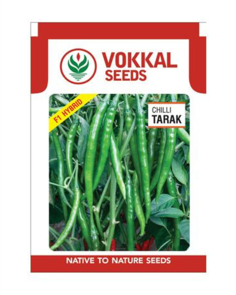 VOKKAL CHILLI - TARAK
