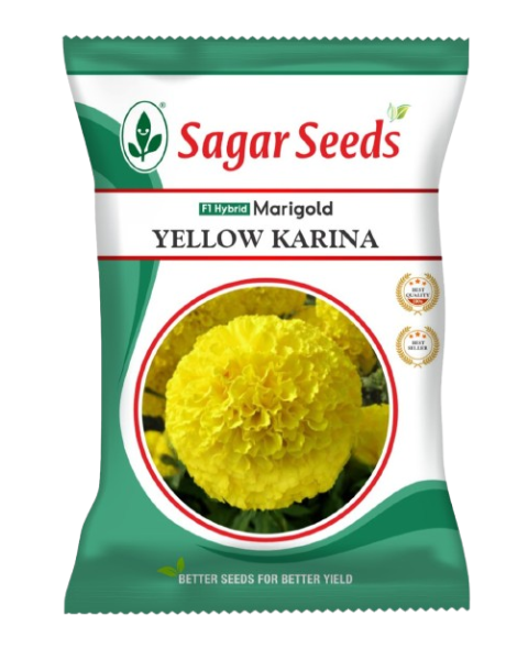 Sagar Yellow Karina F1 Marigold