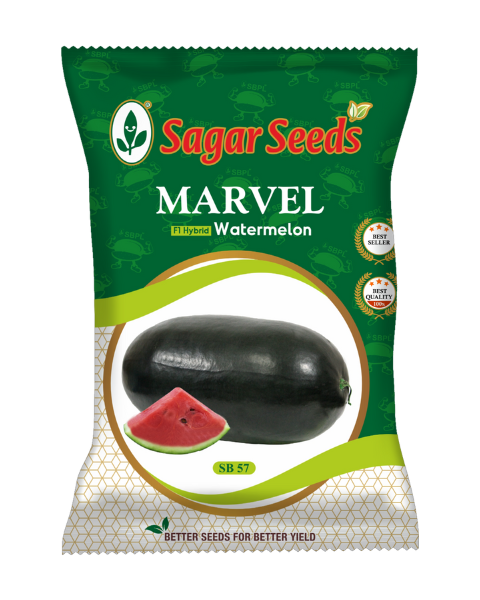 Sagar Marvel F1 Watermelon