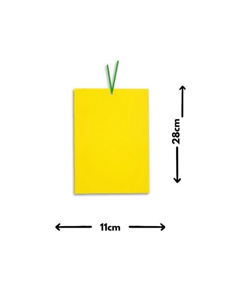 Chipku 11 * 28 cm Yellow PVC Pack of 10
