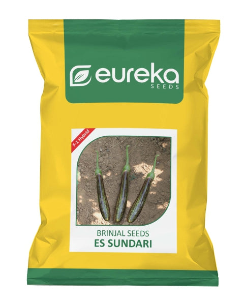 Eureka ES SUNDARI F1 HYBRID Brinjal Seeds