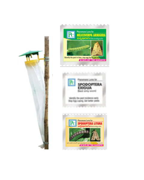 Pheromone Traps and Lures Combo Pack for Chillies & Capsicum  - 24Pack