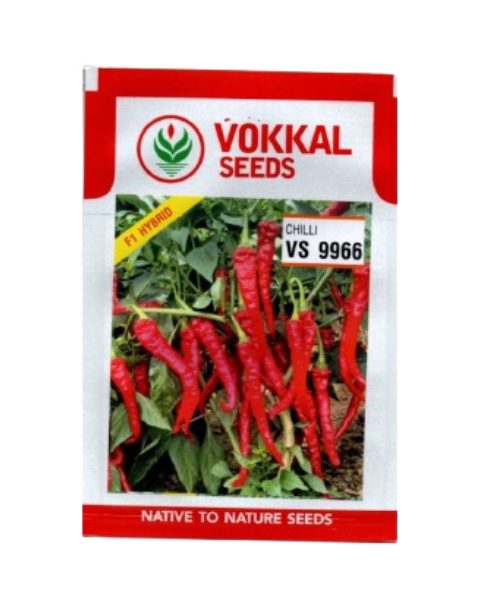 VOKKAL - VS-9966 - Chilli