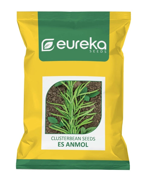 Eureka ES ANMOL IMPROVED Cluster Bean Seeds
