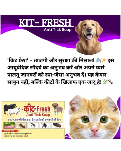 PASHU SVASTH Kit Fresh (Ayurvedic Repellent for Ayus, Horses, Cows, Buffalos, Camels & More) Animal Surface Disinfectants