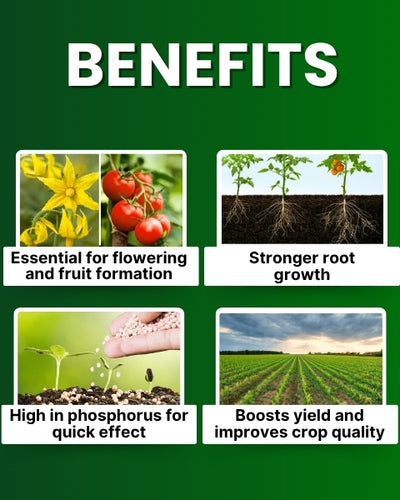 Katyayani NPK 12:61:00 Fertilizers
