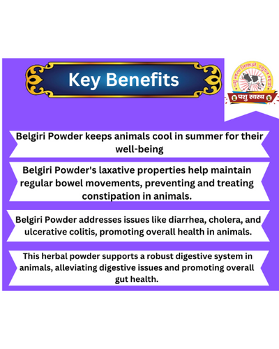 PASHU SVASTH BELGIRI POWDER (Natural Herbal Remedy for Cooling & Digestive Health in Animals) Feed Supplements