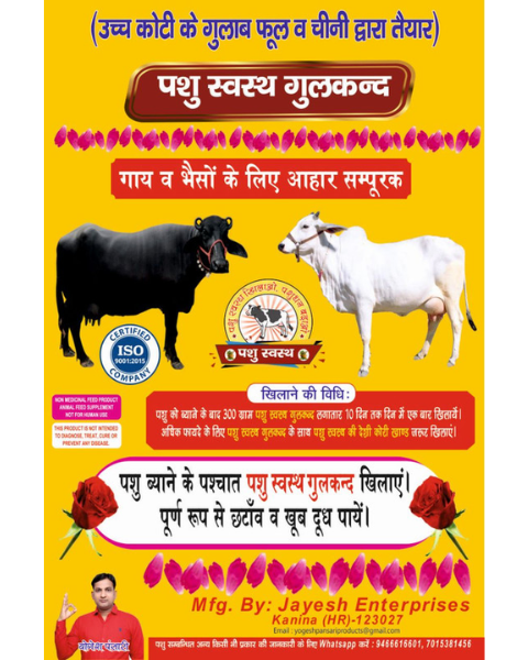 PASHU SVASTH (Gulkand Rose Infused) increase Milk, Cools Stomachs for Happy Cattle Feed Supplements