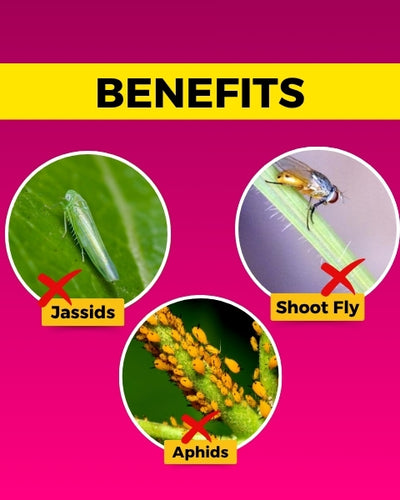 Katyayani Chakrawarti (Thiamethoxam 12.6% + Lambda Cyhalothrin 9.5% ZC) Insecticide