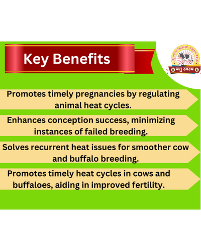 PASHU SVASTH Hit Repeater Powder (Natural Fertility Booster for Cows & Buffalo) Feed Supplements