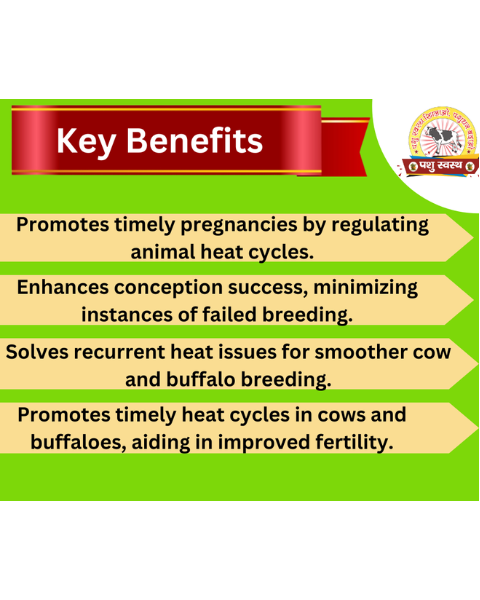 PASHU SVASTH Hit Repeater Powder (Natural Fertility Booster for Cows & Buffalo) Feed Supplements