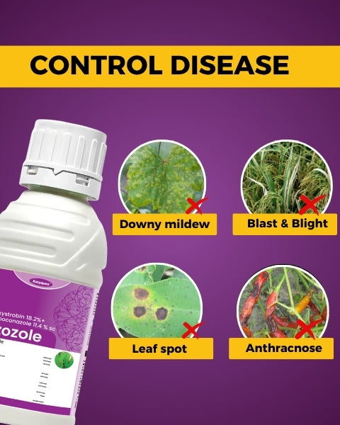 Katyayani Azozole (Azoxystrobin 18.2% + Difenoconazole 11.4% SC) Fungicide