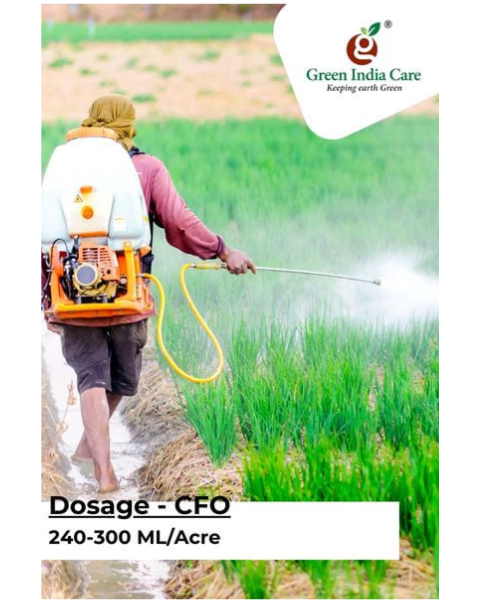 CFO Fungicides