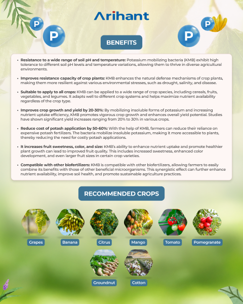 ARIHANT POTAGRIP - Bio Fertilizers