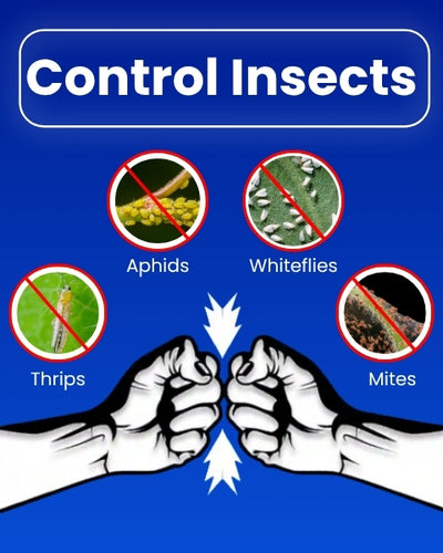 Katyayani Ozil (Spiromesifen 22.9% SC) Insecticides