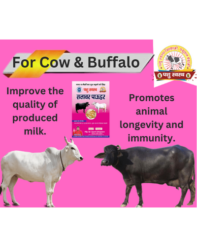 PASHU SVASTH Sitawar Powder (Pure Herbal Boost for Milk Yield) Feed Supplements