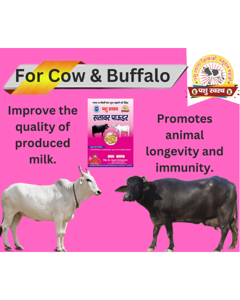 PASHU SVASTH Sitawar Powder (Pure Herbal Boost for Milk Yield) Feed Supplements