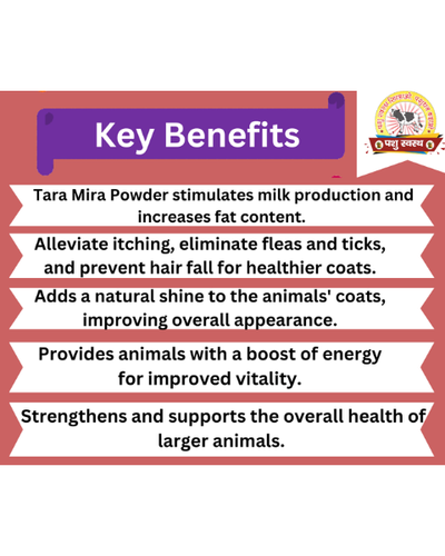 PASHU SVASTH Tara Mira Powder (Boost Milk & Fat Naturally) Feed Supplements