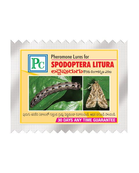 Pheromone Trap and Lure Complete Set for Spodopetra litura Traps & Lures