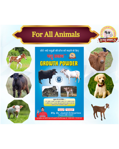 PASHU SVASTH Growth Powder For Growth and Increase the Body Weight of Calves, Heifers, and Small Animals Feed Supplements