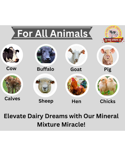 PASHU SVASTH Mineral Mixture (Boost Milk, Health & Fertility) Feed Supplements