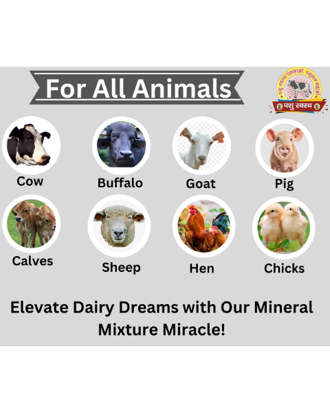 PASHU SVASTH Mineral Mixture (Boost Milk, Health & Fertility) Feed Supplements