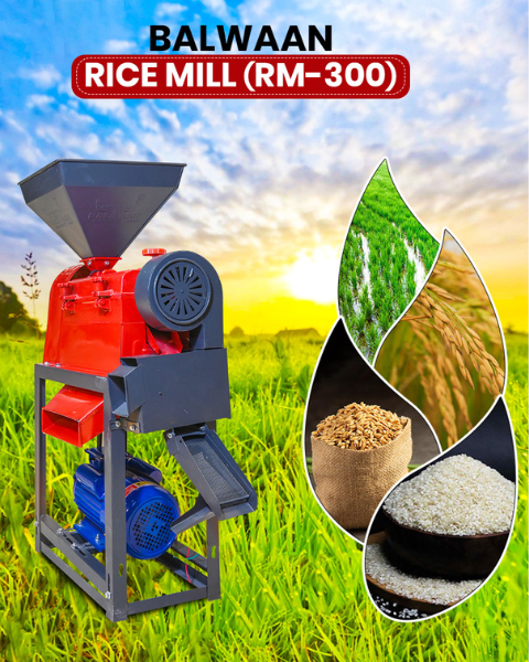 BALWAAN RICE MILL (RM-300)
