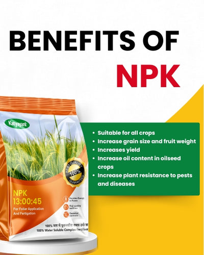 KATYAYANI NPK 13 00 45 FERTILIZER