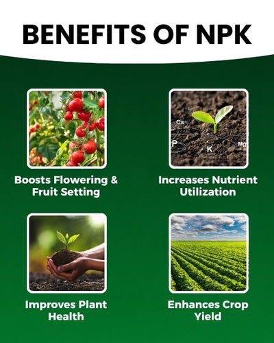 KATYAYANI NPK 00:52:34 - Fertilizers