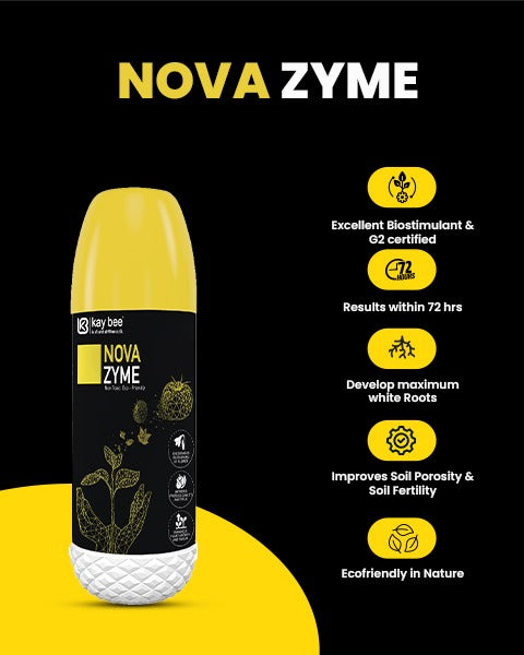 KAY BEE - NOVA ZYME GROWTH REGULATOR