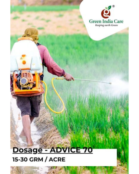 ADVICE 70 Insecticides