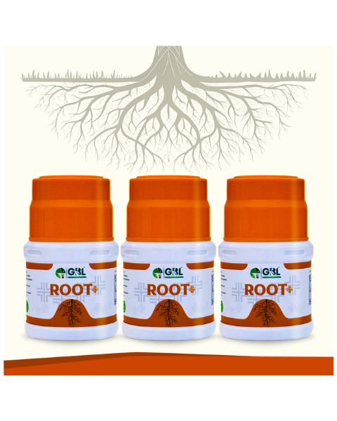 GBL Root + Bio Fertilizers