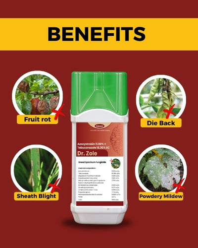Katyayani Dr. Zole (Azoxystrobin 11% + Tebuconazole 18.3% SC) Fungicide