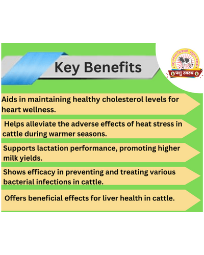 PASHU SVASTH Amla Powder (Boost Vitamin C for Cattle) Feed Supplements