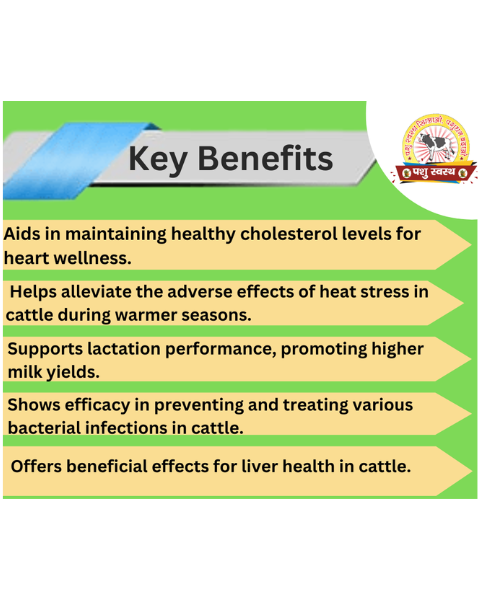 PASHU SVASTH Amla Powder (Boost Vitamin C for Cattle) Feed Supplements