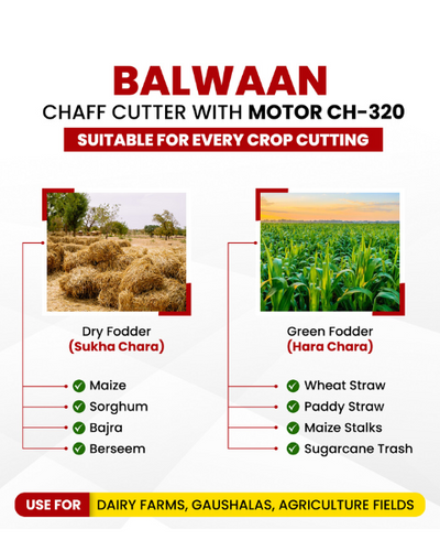 BALWAAN CHAFF CUTTER CH-320 (WITH GEAR | MOTOR & CONVEYOR BELT)