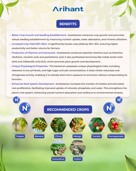 ARIHANT ACEFIX - Bio Fertilizers