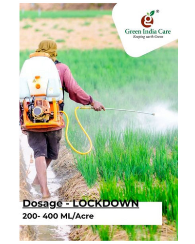 LOCKDOWN Insecticides