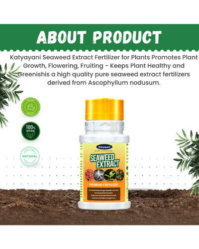 Katyayani Seaweed Extract (Powder) - Fertilizers