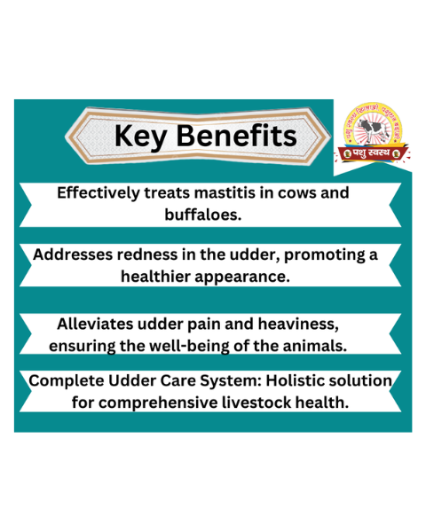 PASHU SVASTH Thun Safe (Herbal Relief for Mastitis & Udder Pain) Cattle Care Products