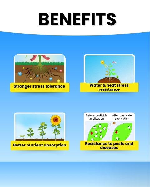 Katyayani K-Ortho (Orthosilicic Acid 2%) Organic Fertilizers
