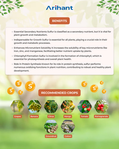 ARIHANT SULPHOXI - Bio Fertilizer