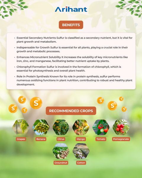 ARIHANT SULPHOXI - Bio Fertilizer