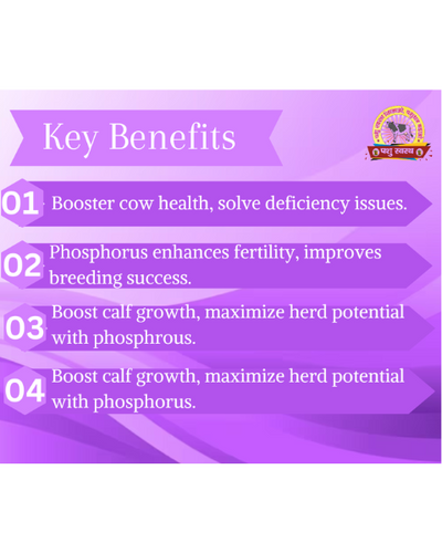 PASHU SVASTH FRS GOLD POWDER (Fight Phosphorus Deficiency in Cows & Buffalo) Feed Supplements
