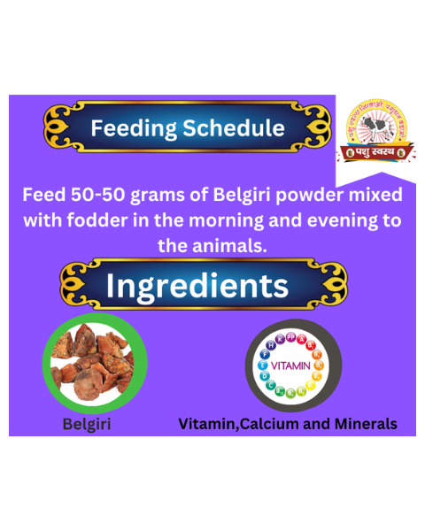 PASHU SVASTH BELGIRI POWDER (Natural Herbal Remedy for Cooling & Digestive Health in Animals) Feed Supplements