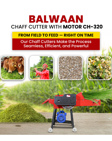 BALWAAN CHAFF CUTTER CH-320 (WITH GEAR | MOTOR & CONVEYOR BELT)
